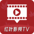 红叶影频TV电视版官方下载v1.1