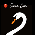 Swan Cam相机官方手机版下载v1.0.3