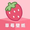 草莓壁纸app高清版下载v1.7.0