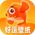 好运壁纸app官方下载v1.0.0