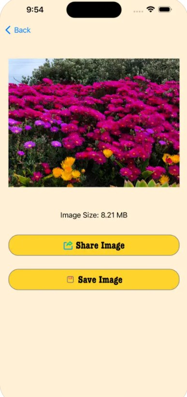 ImageTool软件下载免费版v1.1