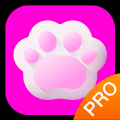 斑克猫语翻译pro软件免费版下载v1.0.0