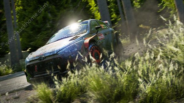 世界汽车拉力锦标赛7汉化中文安卓版（WRC 7）v1.0