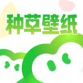 种草壁纸app手机版下载v1.0.0