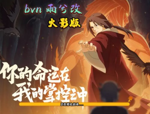 BVN雨兮改火影版1.0手机版下载v1.0