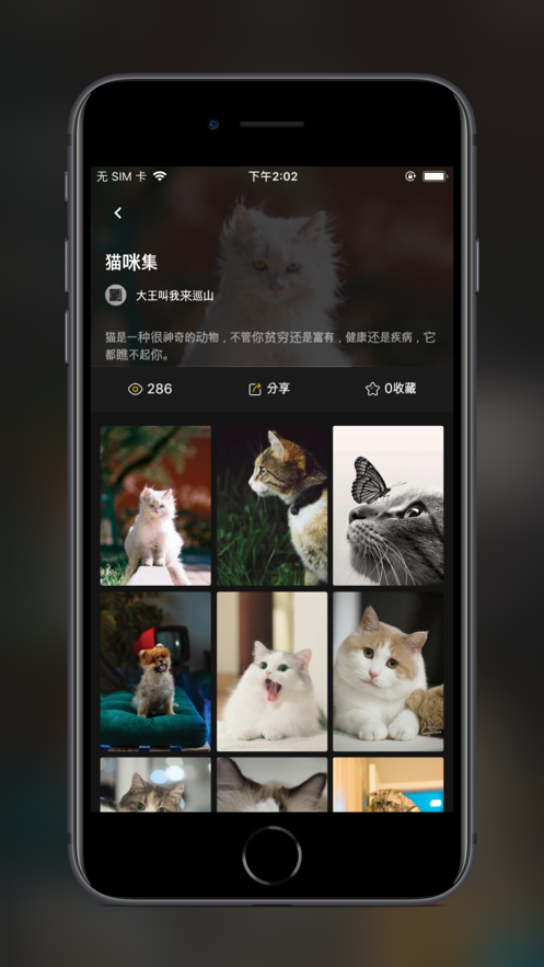 纸塘壁纸app软件官方下载v1.7.0