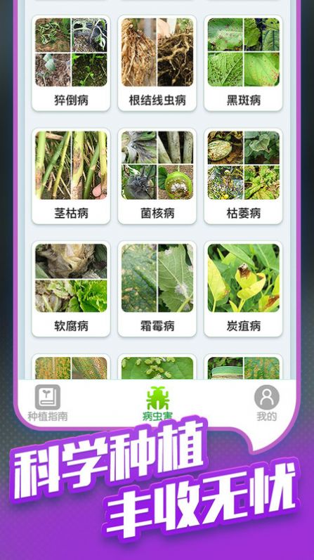 种菜专业户手机版下载v1.0