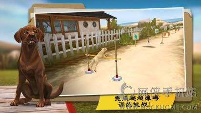 我的寄宿狗屋中文安卓版（含数据包）v1.9.3