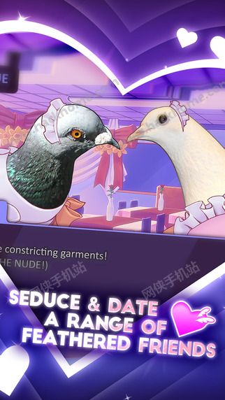 帅鸽男友游戏中文汉化安卓版（Hatoful Boyfriend）v1.0