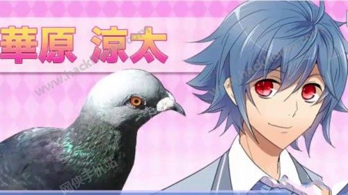 帅鸽男友汉化安卓版（Hatoful Boyfriend）v1.0