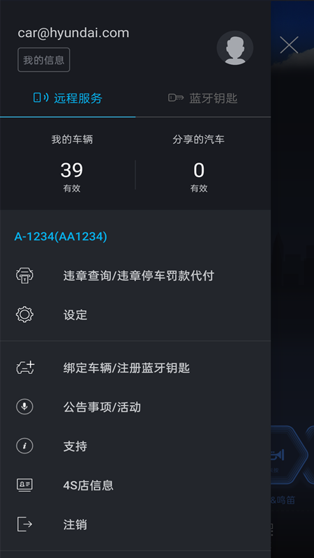 blueLink app苹果系统升级下载v3.10