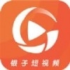 银子短视频app手机版v1.0