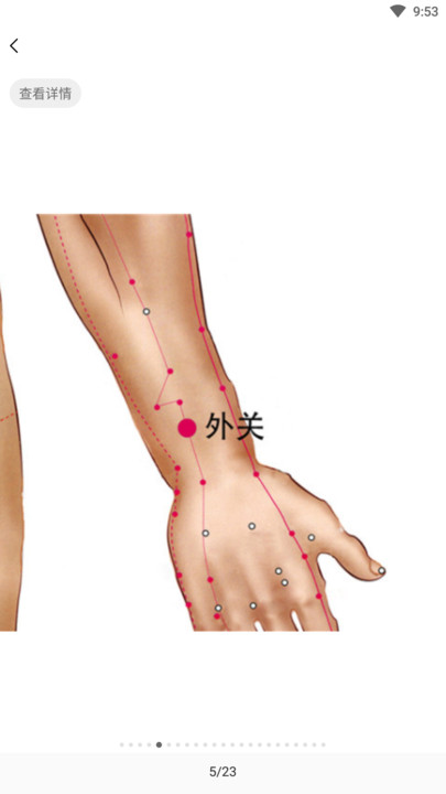 经络助手健康服务下载v1.0