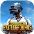 pubgmobile2.1版本新版下载手机版v2.3.0