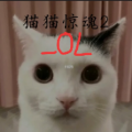 猫猫惊魂2OL游戏官方版下载OLv1.0