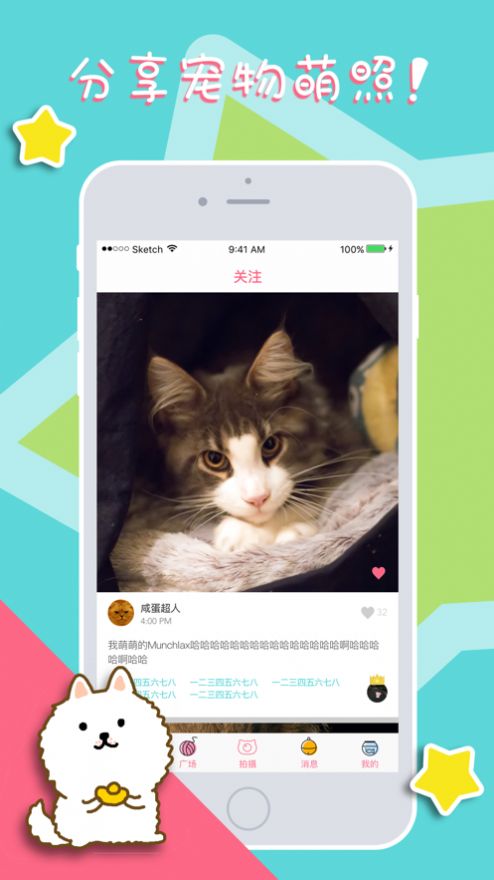 喵狗说宠物社区下载v3.0