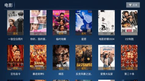 胜越TVpro授权版下载软件v2.0