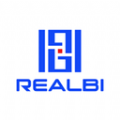 REALBI行业资讯下载v1.4