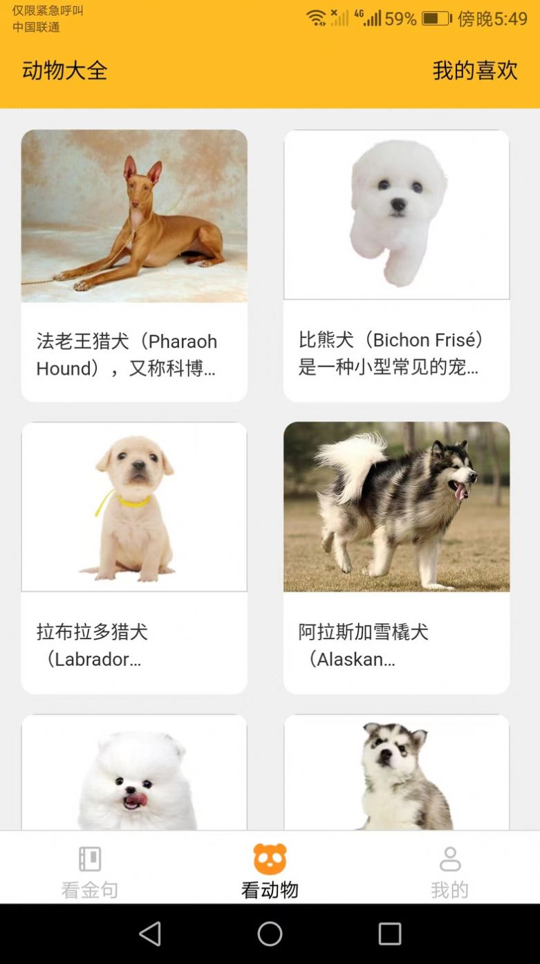 口袋乐看app手机版下载v1.6.0