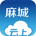 云上麻城官网app下载v1.0.8