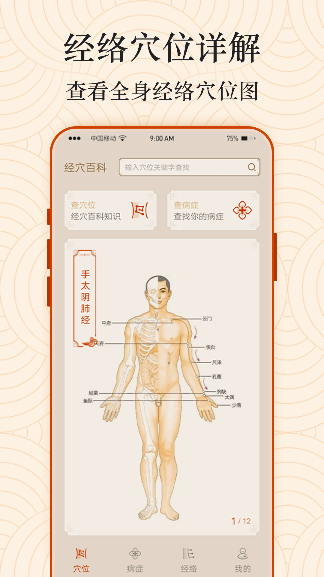 Ai经络穴位图app手机版下载v1.0