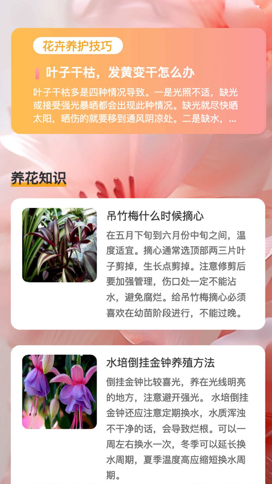 花蕊看看app手机版下载v1.0.1