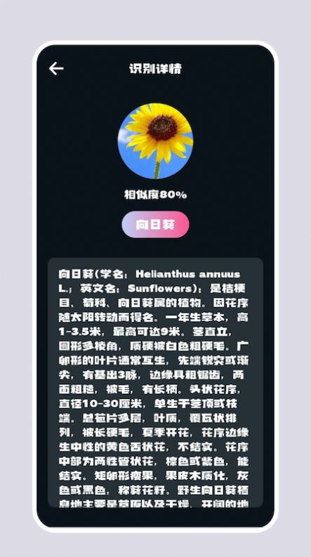 识别花扫一扫软件app下载v1.3