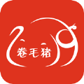 卷毛猪精选app软件v1.0.2