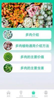 掌中百科app手机版下载v0.1