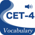 CET4精选词汇英语学习下载v3.1.1