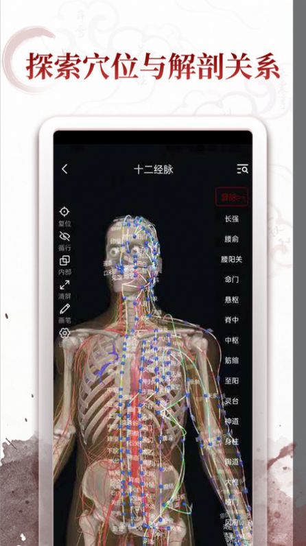 中医经络穴位学习软件下载v2.0.1