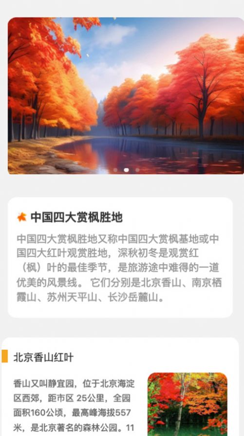 枫叶悦看app手机版下载图片1