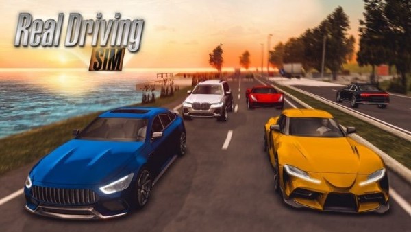 RealDrivingSim中文汉化版游戏下载v1.0