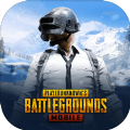 pubg国际服2.1.0更新官方下载v3.3.0