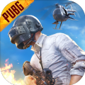 绝地求生pubg25.2版本更新官方版下载v3.3.0