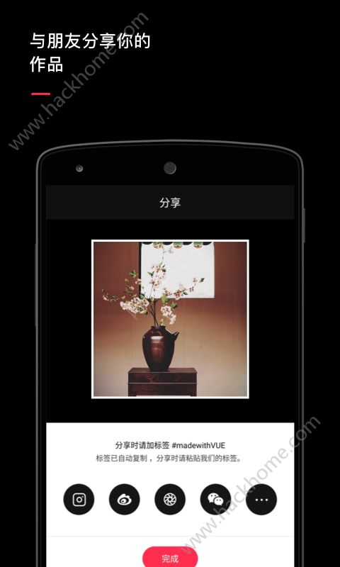 VUE软件下载appv2.0.12