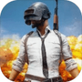 PUBG M国际服地铁逃生官方版下载安装v3.3.0