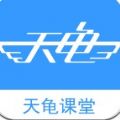 天龟课堂app软件下载v3.0.2