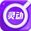 灵动放大镜app手机版下载v1.0.1