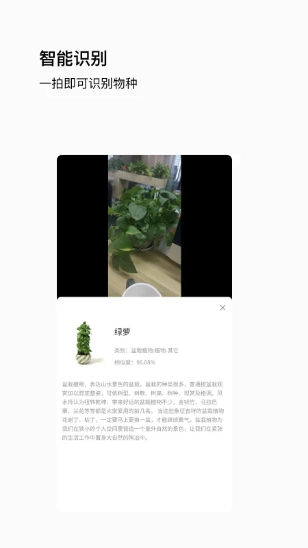 唞蜗智能识别app下载v1.0.5