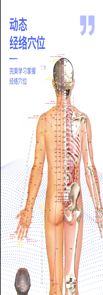 3Dbody解刨学app软件官方版v2.1.0