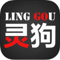 灵狗行车记录仪官方app软件下载v1.0