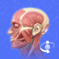 3Dbody解剖学app手机版下载v2.1.0