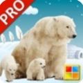 动物学习卡pro app最新版v1.5.4