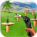 射击瓶子特训游戏安卓最新版（Bottle Shooter Expert）v2.9