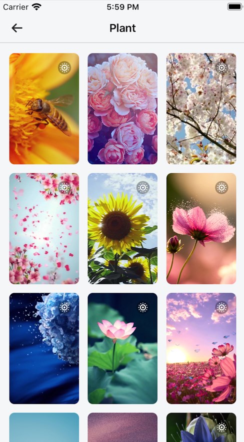 Do Wallpapers壁纸app高清版下载v1.0