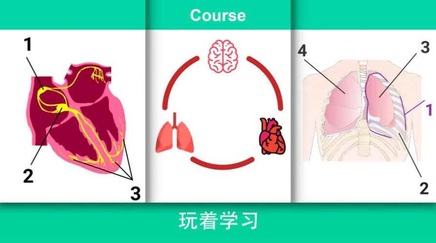 治病模拟器游戏安卓中文版v47