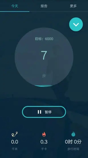 计步器记步运动app最新版图片1