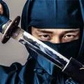 忍者信条刺客战士安卓中文版下载（Ninja Creed Assassin Warrior）v3.1