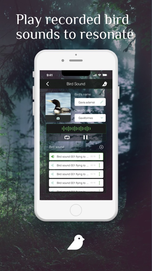 Bird Photography鸟类摄影app官方下载v1.2